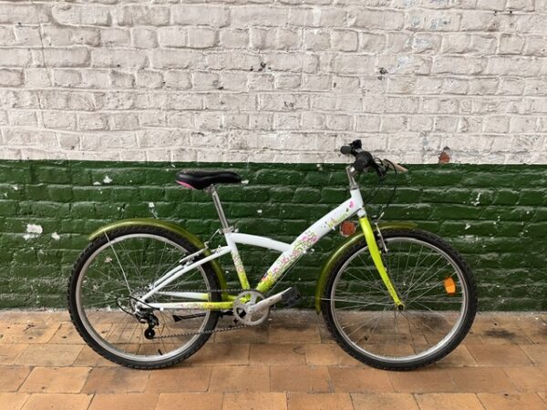 2605045 BTWIN Original Anis Green 24&prime;