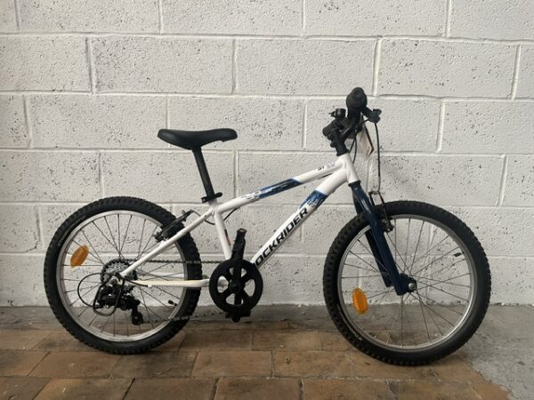2609035 ROCKRIDER ST 120 20&prime;